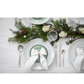 Gense Thebe Bestiks�t