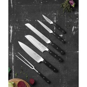 Lion Sabatier - 6 dele